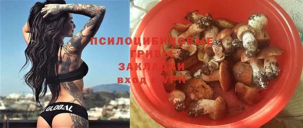 сатива Алзамай